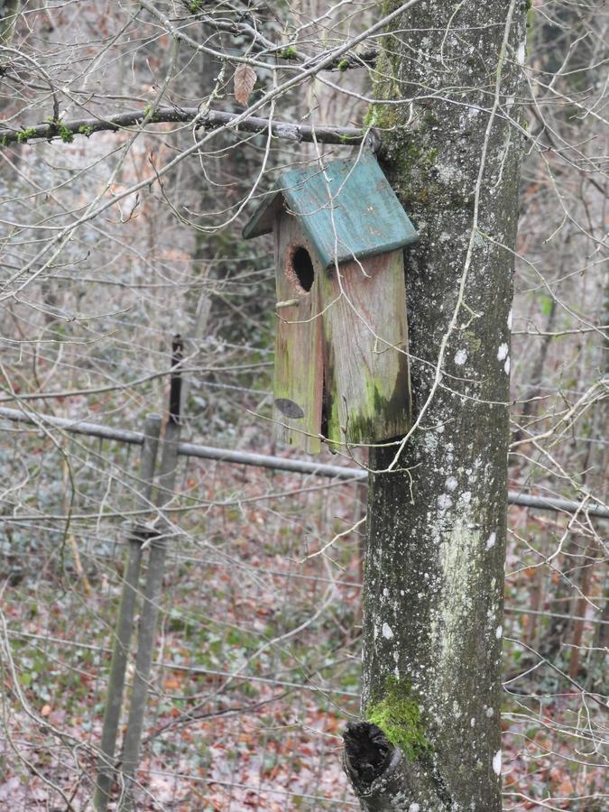 Ardennen Vakantie Chalet ดูร์บี ภายนอก รูปภาพ